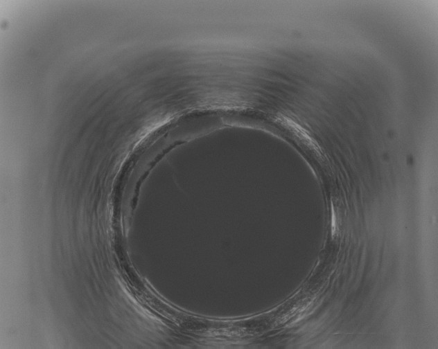X0000066500627200603311705