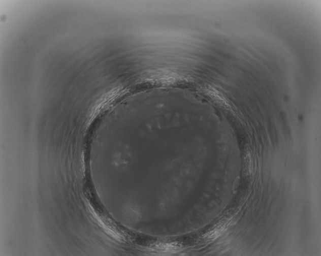 X0000066500638200603311705