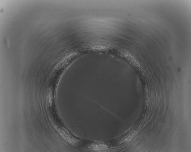 X0000066500644200603311705