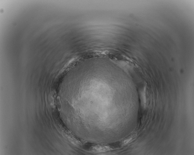 X0000066500712200603311704