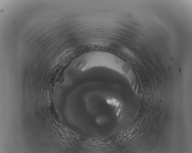 X0000066500774200603311703