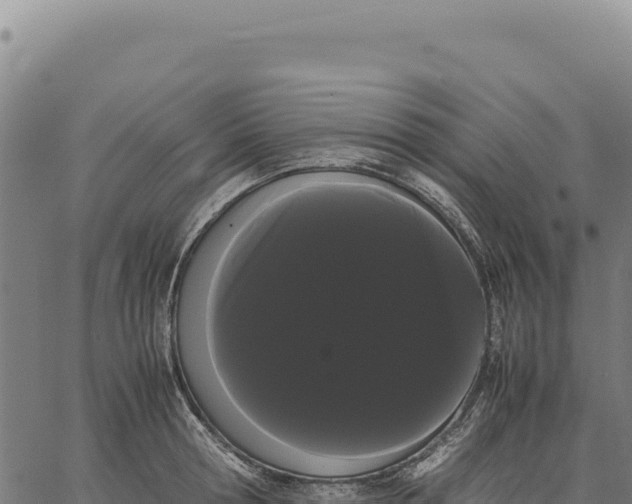 X0000066500802200603311703