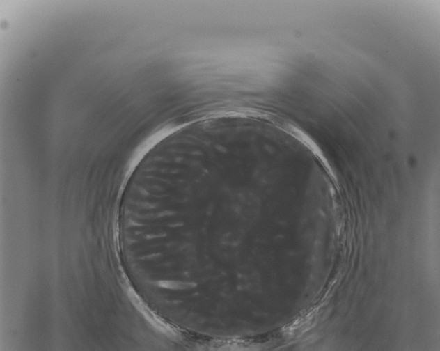 X0000066500811200603311703