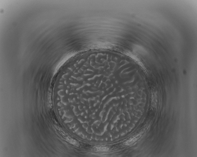X0000066500878200603311702