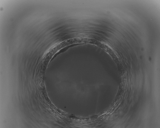 X0000066500919200603311700