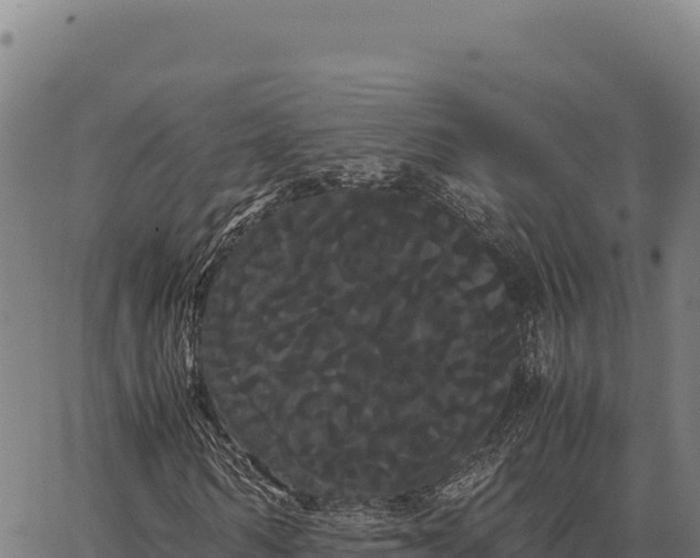 X0000066500962200603311700