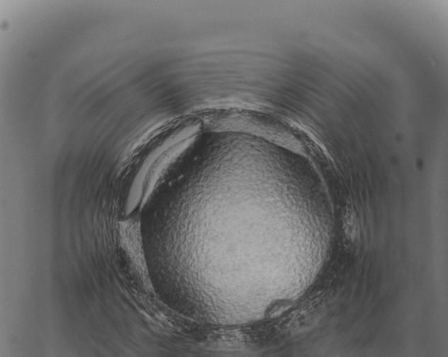 X0000066500968200603311700