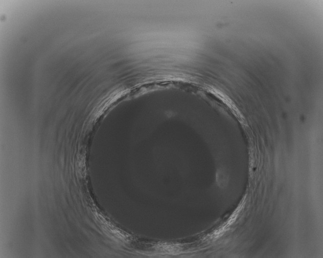 X0000066500977200603311700