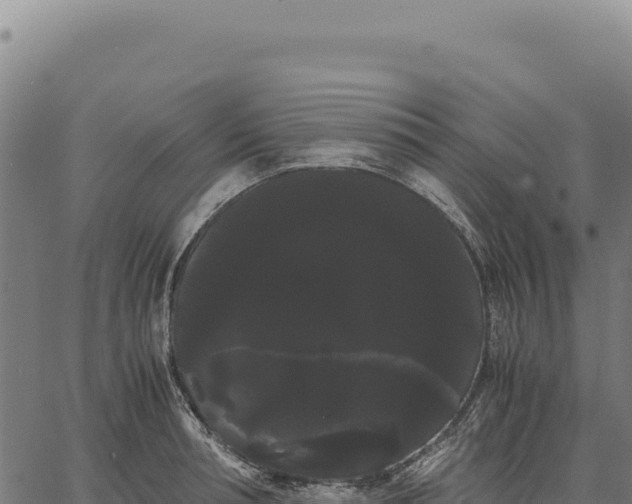X0000066500994200603311700