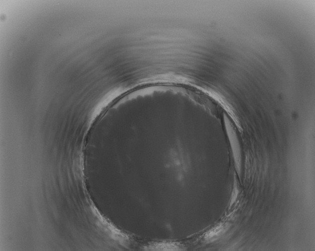 X0000066500998200603311700