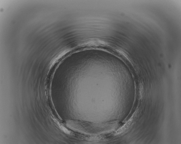 X0000066501018200603311659