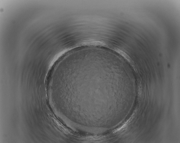 X0000066501022200603311659