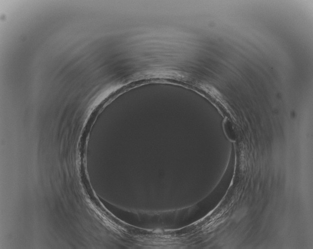 X0000066501024200603311659