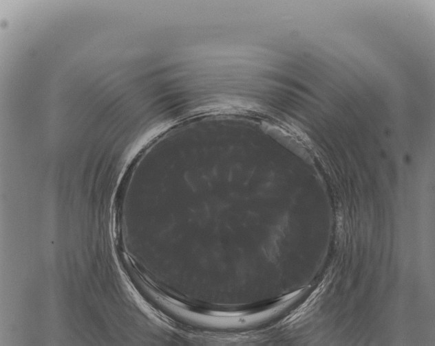 X0000066501034200603311659
