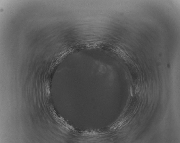 X0000066501106200603311657