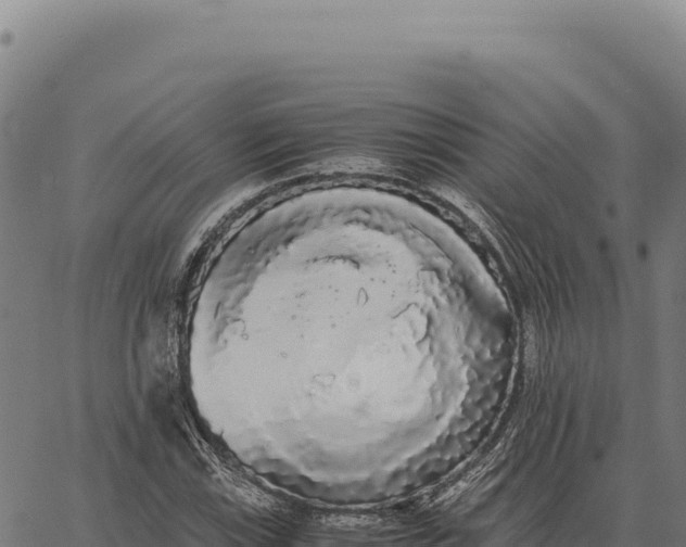 X0000066501115200603311657
