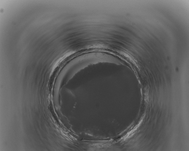 X0000066501117200603311657