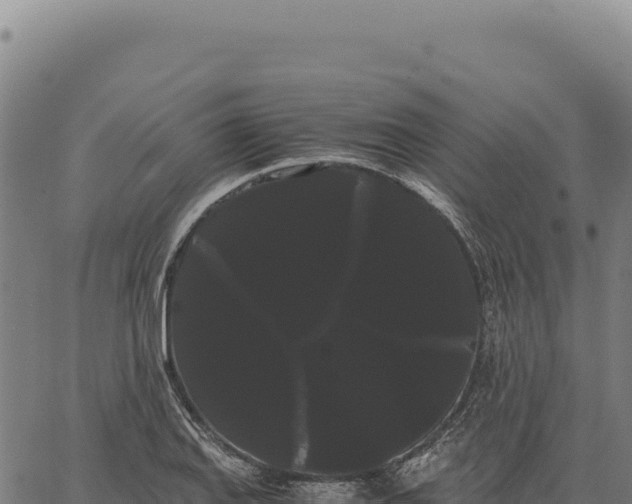 X0000066501127200603311658