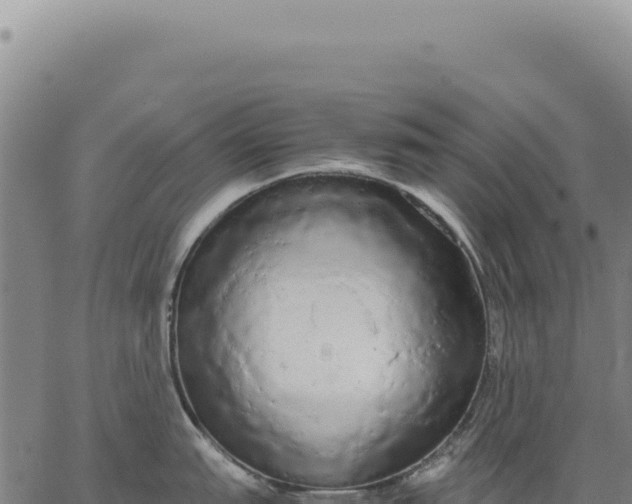 X0000066501151200603311658