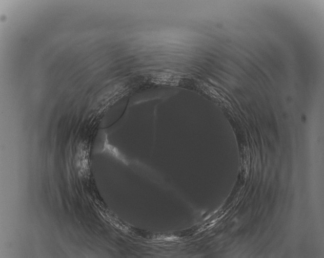 X0000066501154200603311657