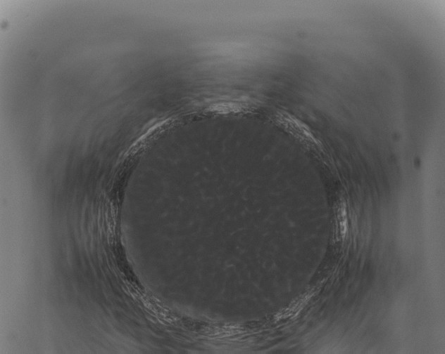 X0000066501158200603311657