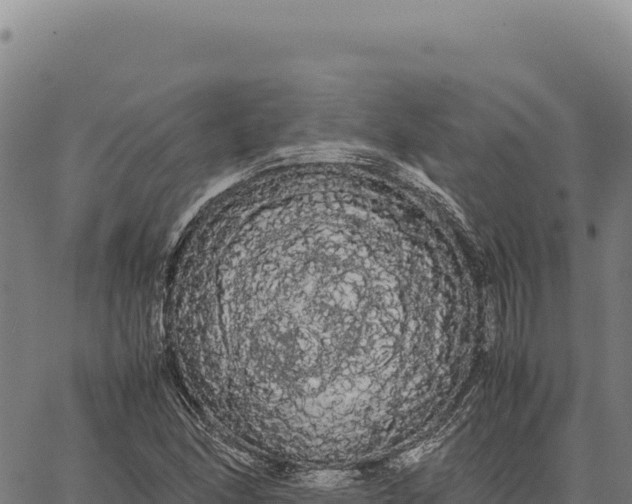 X0000066501166200603311657