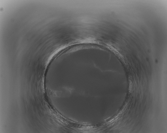 X0000066501174200603311657