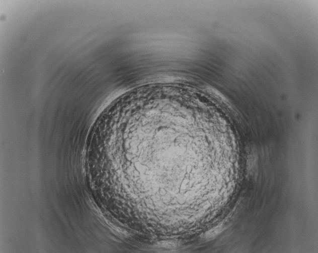 X0000066501178200603311657