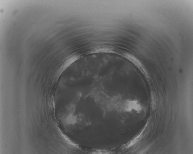X0000066501241200603311656