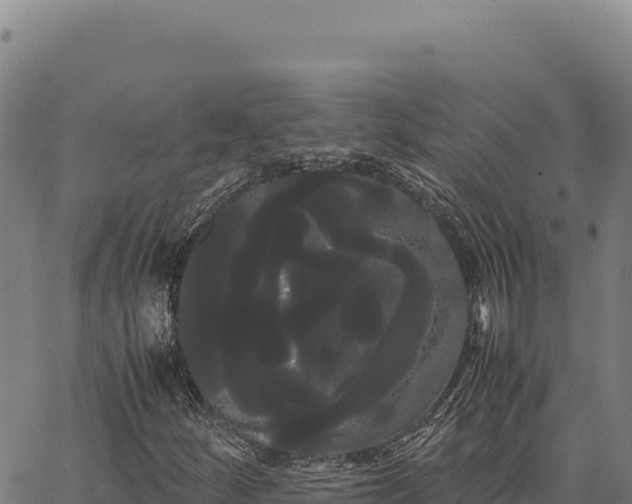 X0000066501252200603311656
