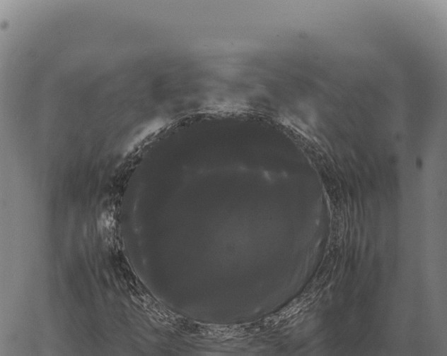 X0000066501254200603311656