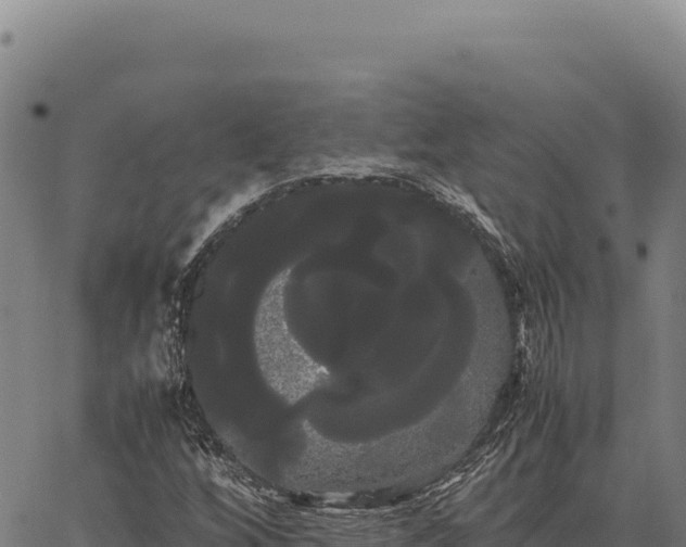 X0000066501256200603311656