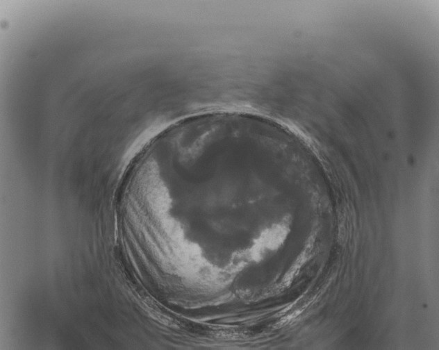X0000066501271200603311655