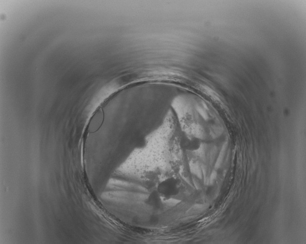 X0000066501275200603311655