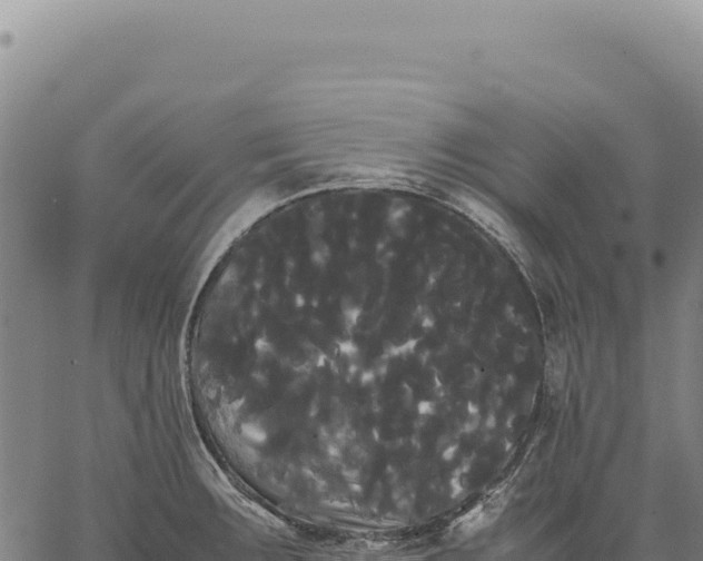 X0000066501283200603311655