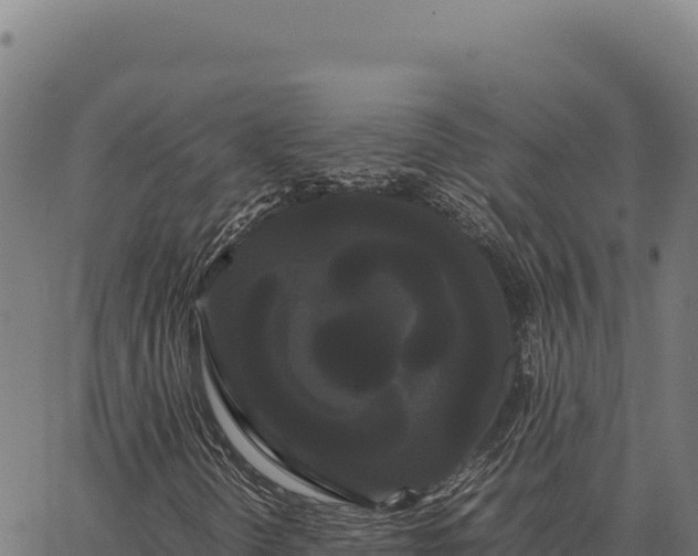 X0000066501298200603311654
