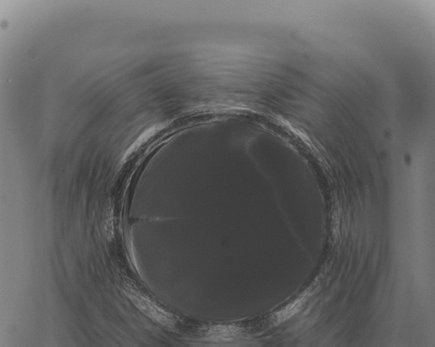 X0000066501306200603311654