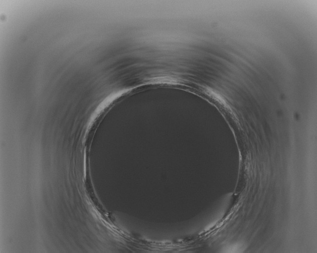X0000066501323200603311655