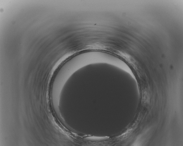 X0000066501331200603311655