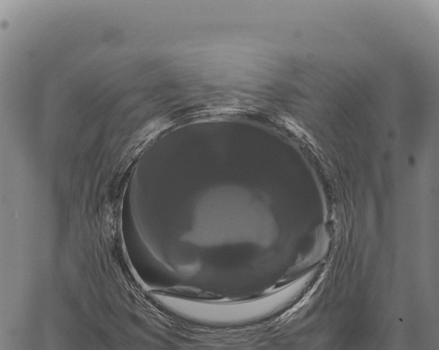 X0000066501353200603311654