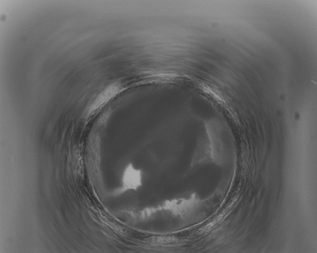 X0000066501354200603311654