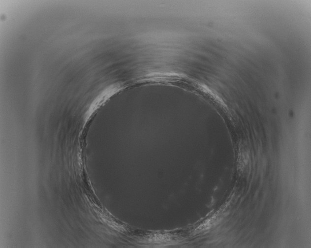 X0000066501362200603311654