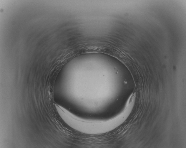 X0000066501394200603311653