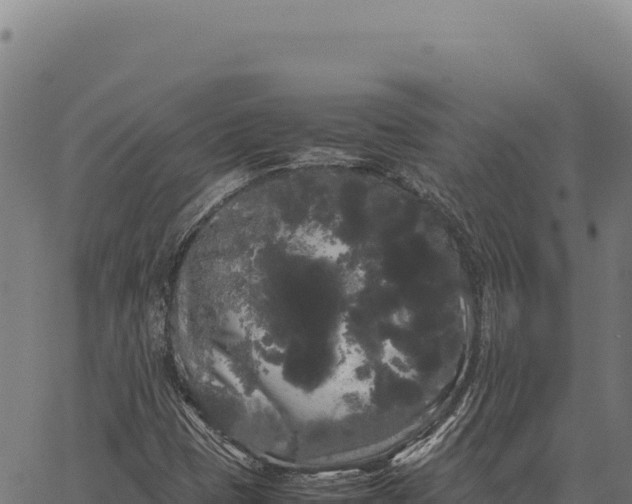 X0000066501401200603311653