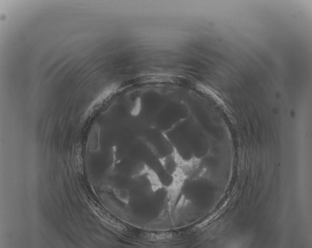 X0000066501403200603311653