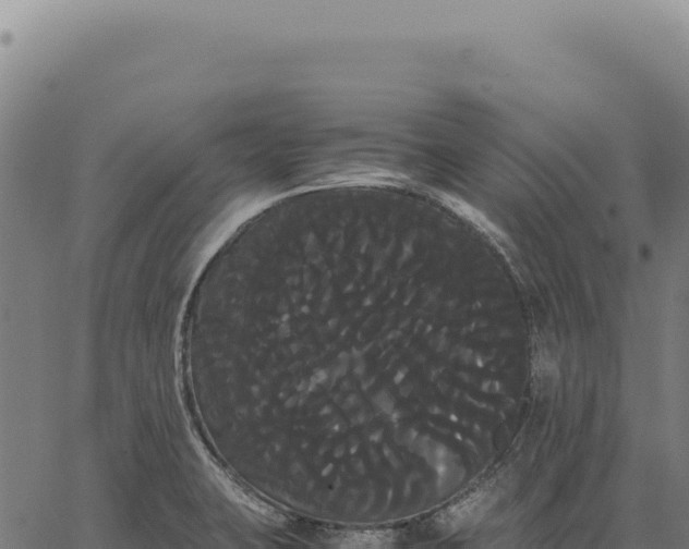 X0000066501423200603311653