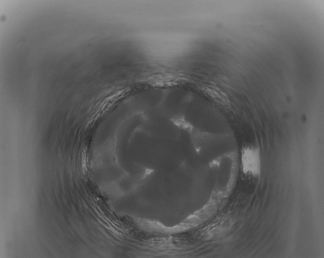 X0000066501444200603311653