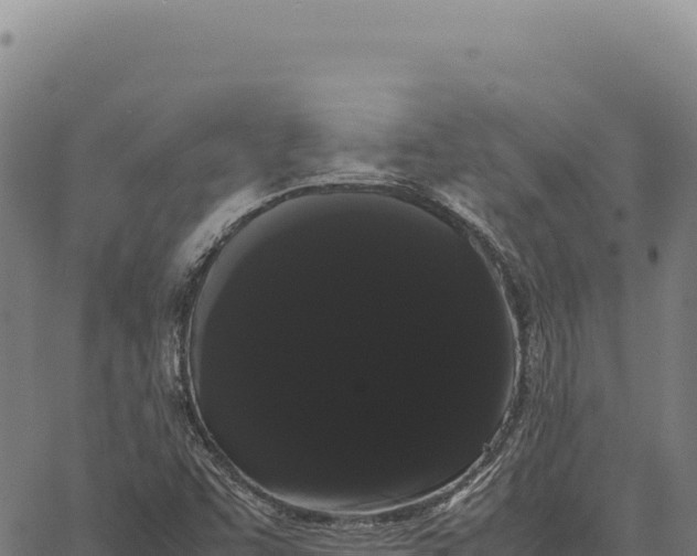 X0000066501455200603311652