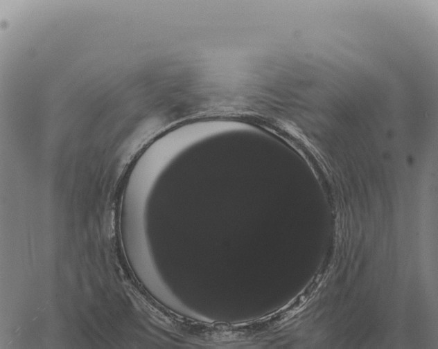 X0000066501459200603311652