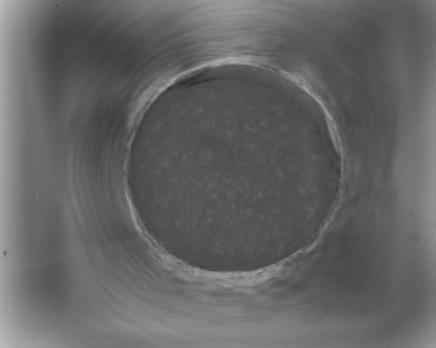 X0000066500001200604072253